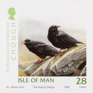 Colnect-1289-998-Red-billed-Chough-Pyrrhocorax-pyrrhocorax.jpg