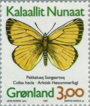 Colnect-158-610-Northern-Clouded-Yellow-Colias-hecla.jpg