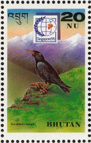 Colnect-1720-419-Red-billed-Chough-Pyrrhocorax-pyrrhocorax.jpg