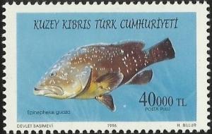 Colnect-2208-096-Dusky-Grouper-Epinephelus-guaza.jpg