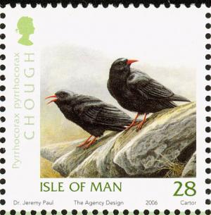 Colnect-3244-864-Red-billed-Chough-Pyrrhocorax-pyrrhocorax.jpg