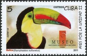 Colnect-3661-836-Keel-billed-Toucan%C2%A0Ramphastos-sulfuratus.jpg