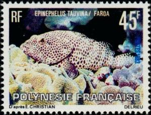 Colnect-5146-749-Greasy-Grouper-Epinephelus-tauvina.jpg