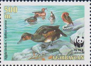 Colnect-5681-499-Ferruginous-Duck%C2%A0Aythya-nyroca.jpg