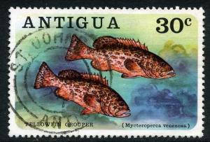 Colnect-859-182-Yellowfin-Grouper-Mycteroperca-venenosa.jpg