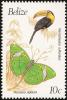 Colnect-740-515-Keel-billed-Toucan-Ramphastos-sulfuratus.jpg