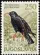 Colnect-1247-933-Red-billed-Chough-Pyrrhocorax-pyrrhocorax.jpg