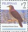 Colnect-2874-983-Amethyst-Brown-Dove-nbsp-Phapitreron-amethystina.jpg