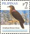 Colnect-2876-035-Amethyst-Brown-Dove-nbsp-Phapitreron-amethystina.jpg