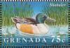 Colnect-4569-520-Northern-Shoveler----Spatula-clypeata.jpg