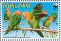 Colnect-1671-869-Lilian-s-Lovebird-Agapornis-lilianae.jpg