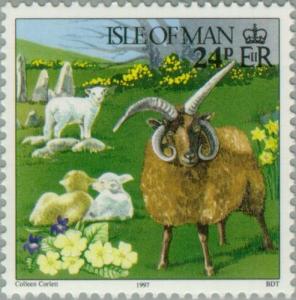 Colnect-125-107-Manx-Loaghtyn-Ram-Ovis-orientalis-aries-with-Lambs.jpg