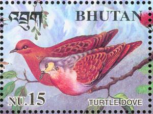 Colnect-1412-492-Turtle-Dove-Streptopelia-turtur.jpg