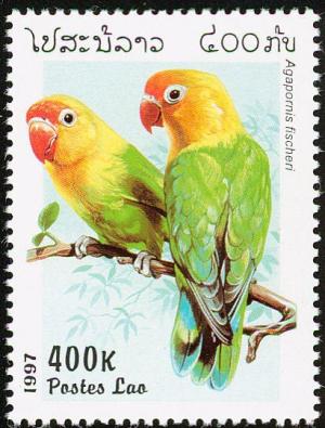 Colnect-1614-692-Fischer-s-Lovebird-Agapornis-fischeri.jpg