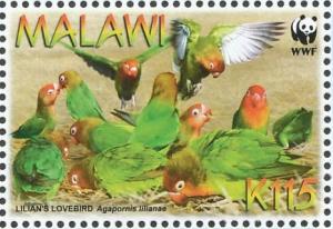 Colnect-1671-868-Lilian-s-Lovebird-Agapornis-lilianae.jpg