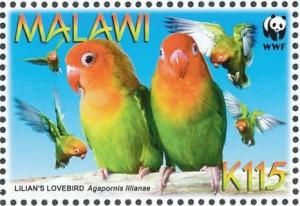 Colnect-1671-871-Lilian-s-Lovebird-Agapornis-lilianae.jpg