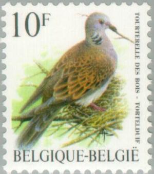 Colnect-187-360-Turtle-Dove-Streptopelia-turtur.jpg