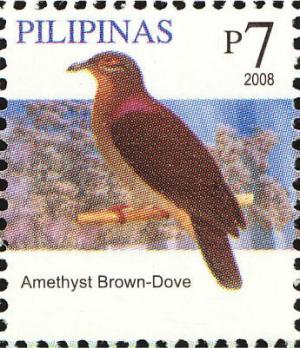 Colnect-2875-001-Amethyst-Brown-Dove-nbsp-Phapitreron-amethystina.jpg