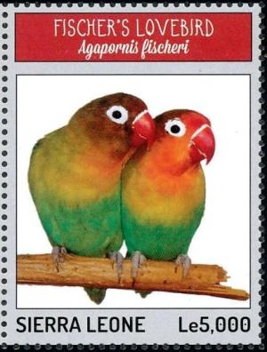 Colnect-3565-911-Fischer-s-Lovebird%C2%A0Agapornis-fischeri.jpg