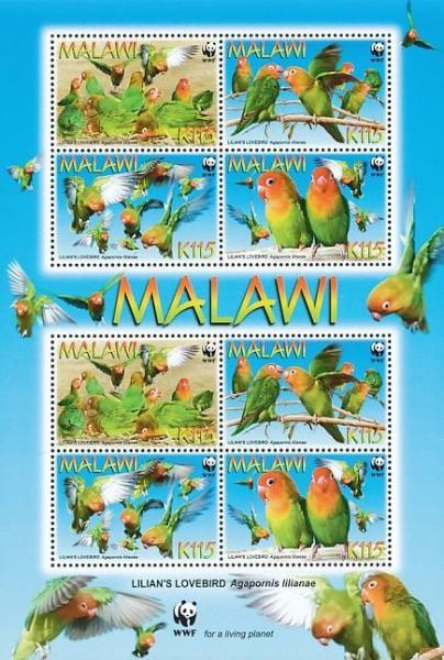 Colnect-1671-872-Lilian-s-Lovebird-Agapornis-lilianae.jpg