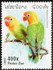 Colnect-1614-692-Fischer-s-Lovebird-Agapornis-fischeri.jpg