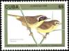 Colnect-1902-054-Common-Yellowthroat-Geothlypis-trichas.jpg