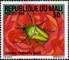 Colnect-2593-178-Flamboyant-Flower-Beetle-Eudicella-gralli.jpg