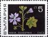 Colnect-3669-618-Mallow-Malva-sylvestris.jpg