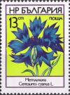 Colnect-3731-739-Cornflower-Centaurea-cyanus.jpg