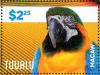 Colnect-4021-370-Blue-and-yellow-Macaw%C2%A0%C2%A0%C2%A0%C2%A0Ara-ararauna.jpg