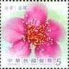 Colnect-5153-515-Flowering-crab-apple.jpg