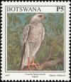 Colnect-5250-725-Ovambo-Sparrowhawk-Accipiter-ovampensis.jpg