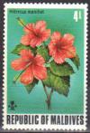 Colnect-838-385-Sunset-Muskmallow---Hibiscus-Hibiscus-manihot.jpg