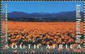 Colnect-2220-827-Flowers-Namaqualand.jpg