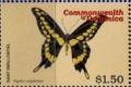 Colnect-3236-737-Giant-Swallowtail-Papilio-cresphontes.jpg