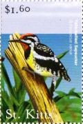 Colnect-3483-385-Yellow-bellied-sapsucker.jpg