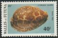 Colnect-897-412-Map-Cowrie-Cypraea-mappa.jpg