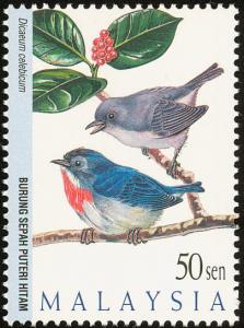 Colnect-1487-237-Grey-sided-Flowerpecker-Dicaeum-celebicum.jpg