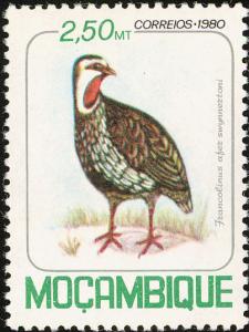 Colnect-893-074-Red-necked-Spurfowl-Pternistis-afer-swynnertoni.jpg