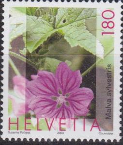 Colnect-2502-219-Mallow-Malva-sylvestris.jpg