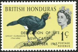 Colnect-1093-093-Great-Curassow-Crax-rubra---Overprinted.jpg