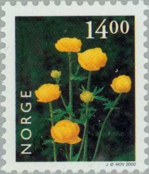 Colnect-162-684-Globe-Flower-Trollius-europaeus.jpg