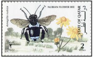 Colnect-2843-120-Nubian-Flower-Bee-Amegilla-nubica-.jpg