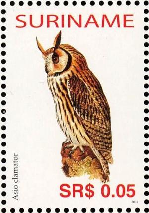 Colnect-3837-066-Striped-Owl%C2%A0%C2%A0%C2%A0%C2%A0Asio-clamator.jpg