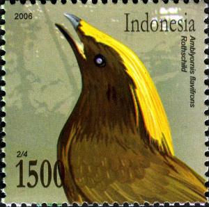 Colnect-905-409-Golden-fronted-Bowerbird-Amblyornis-flavifrons.jpg