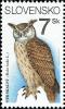 Eurasian-Eagle-owl-Bubo-bubo.jpg