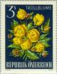 Colnect-136-602-Globe-Flower-Trollius-europaeus.jpg