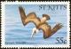 Colnect-1659-316-Brown-Pelican-nbsp-.jpg