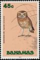 Colnect-576-825-Burrowing-Owl-Speotyto-cunicularia.jpg