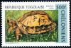 Colnect-2073-756-Vietnamese-Box-Turtle-Cuora-galbinifrons.jpg